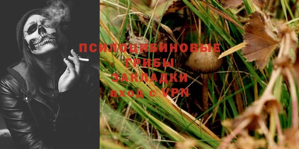 гашик Балабаново