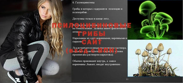 гашик Балабаново
