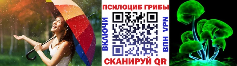 наркота Белинский Псилоцибиновые грибы прущие грибы